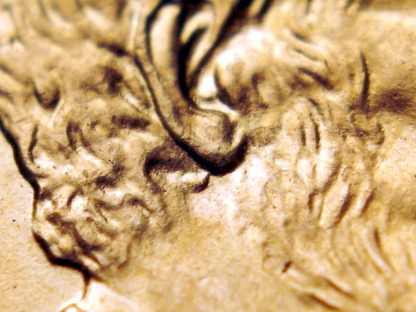 2006-P-LMC-1-Do-018-Double-Earlobe-Eds.
